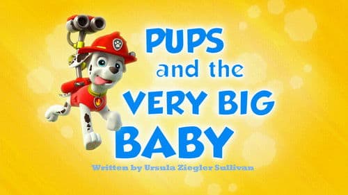 Pups and the Very Big Baby