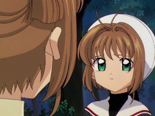 Sakura and Another Sakura