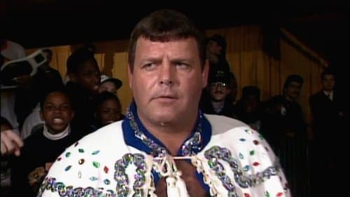 WWE WrestleMania IX Fallout